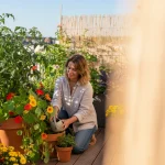 Associer légumes et fleurs en pot : 8 duos gagnants pour balcon - Image de couverture
