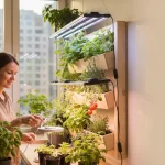 LED horticoles: réussir un potager d’intérieur urbain - Image de couverture