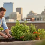 Terreau urbain: le mélange idéal pour bacs et pots - Image de couverture